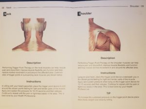 trigger point therapy manual
